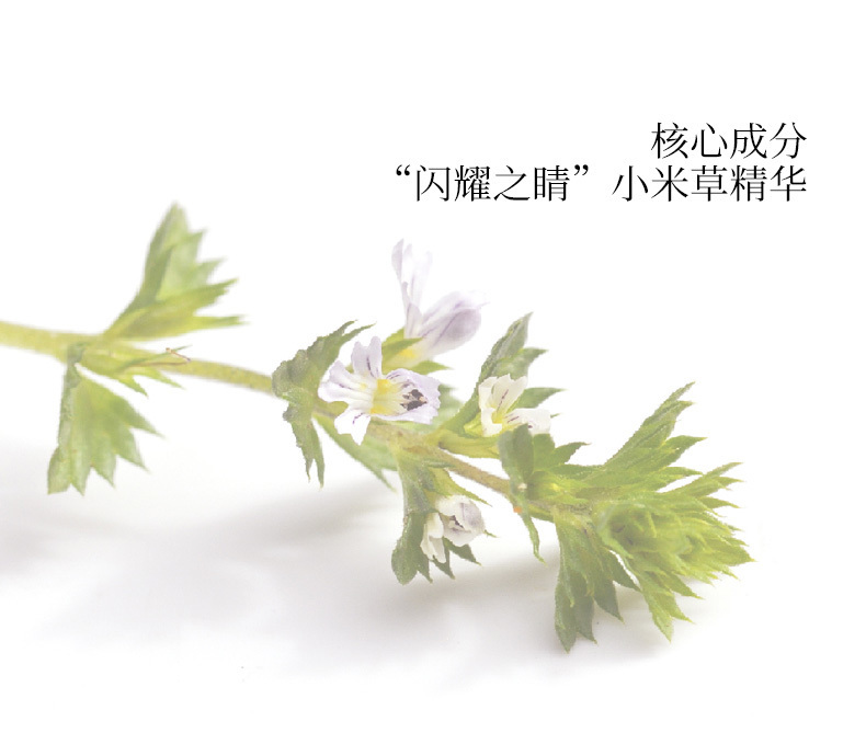 资生堂抗皱眼膜正确使用方法,日本晓姿眼膜能去除细纹吗