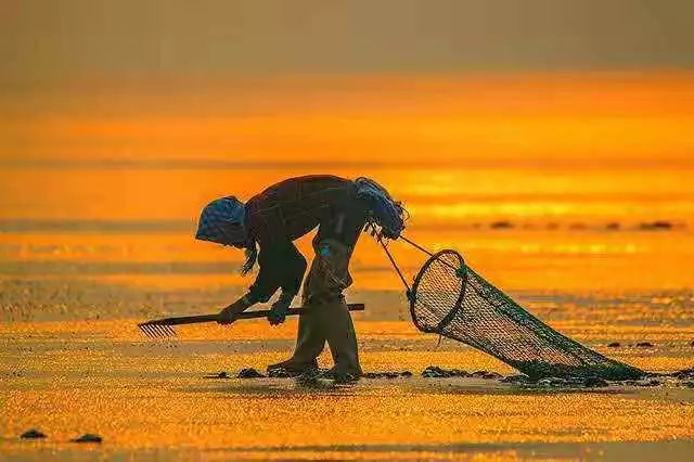 【读历史游盘锦】几许渔人飞短舟，尽载灯火归村路渤海金滩蛤蜊岗