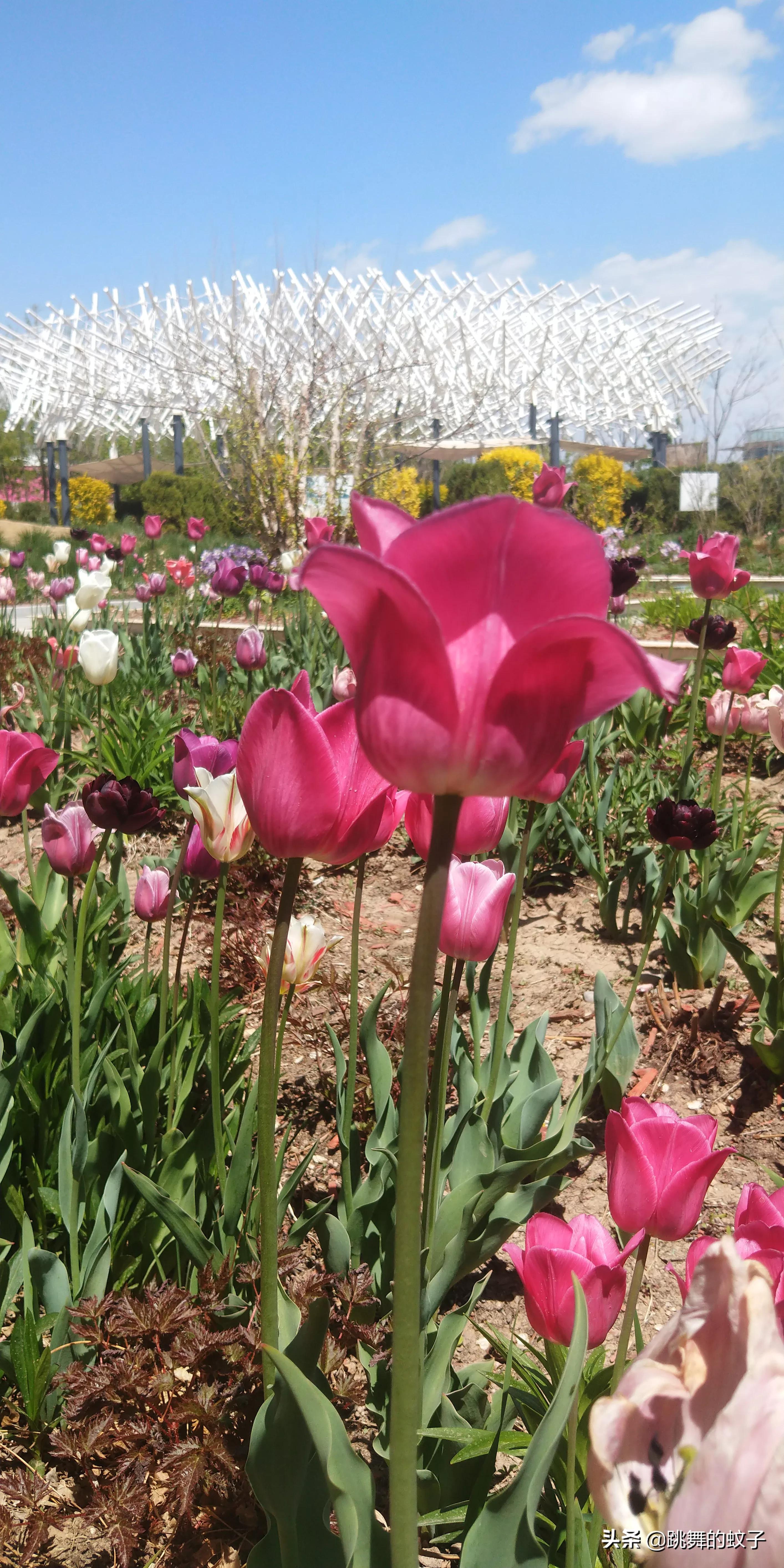京郊公园,京郊公园门票