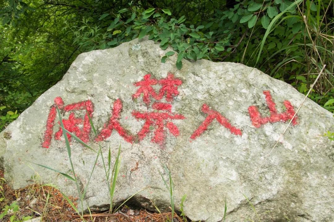 秦岭沣峪口上山有哪些景点,秦岭大坝沟瀑布