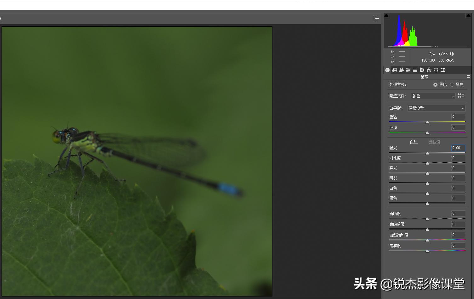 ps怎样调出高质量的黑白照片风景,ps如何给黑白照片上的人物上色