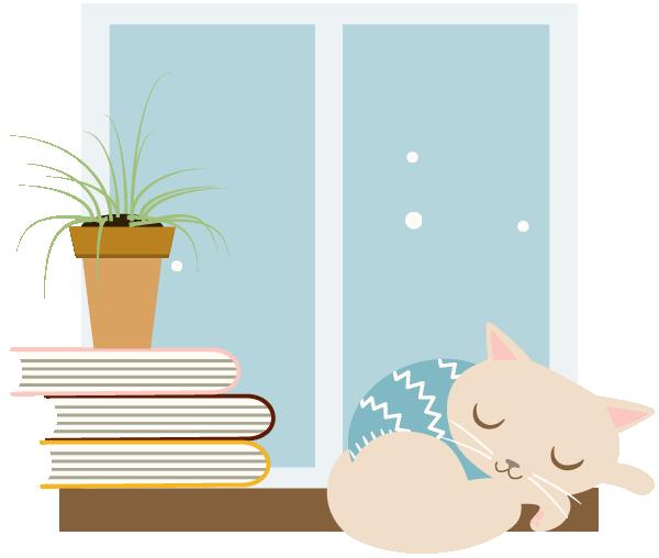 猫狗双全必备清单,猫狗主子的日常