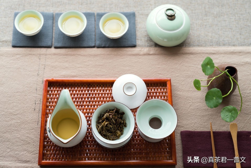 为什么我坚决不喝乌龙茶了呢?加了香精吗。不,有7种原因我不喝