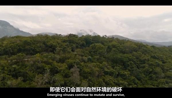 通过性传播艾滋病的条件,通过性传播的艾滋病人