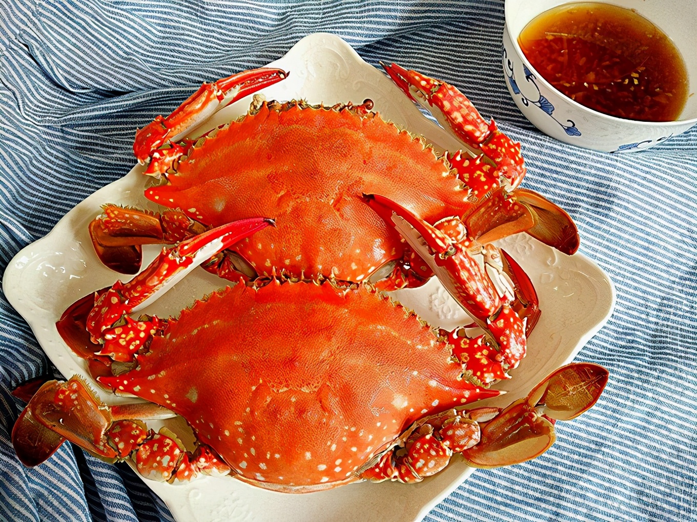 秦皇岛沉浸式旅游,秦皇岛自驾游体验