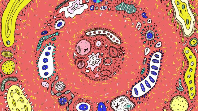 湿巾｜别因“一擦一扔”的便利，忽略了对号入座！