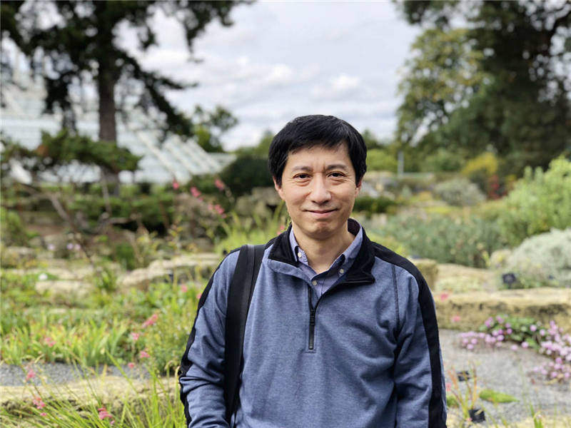 陈寅恪与新文化运动,陈寅恪与新中国