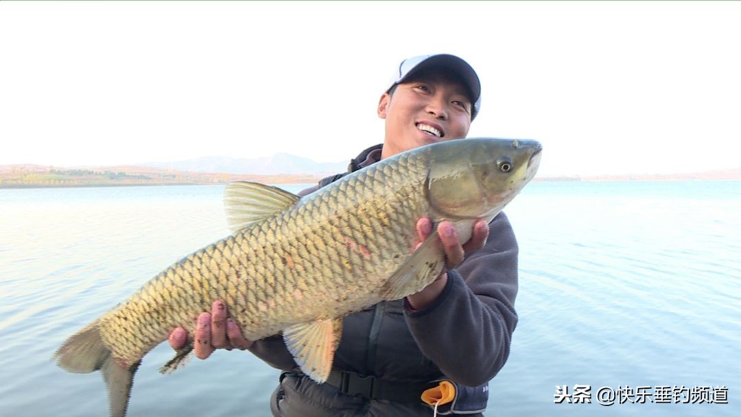 夏季蚯蚓野钓怎么避小杂鱼,夏季野钓鲫鱼避杂鱼