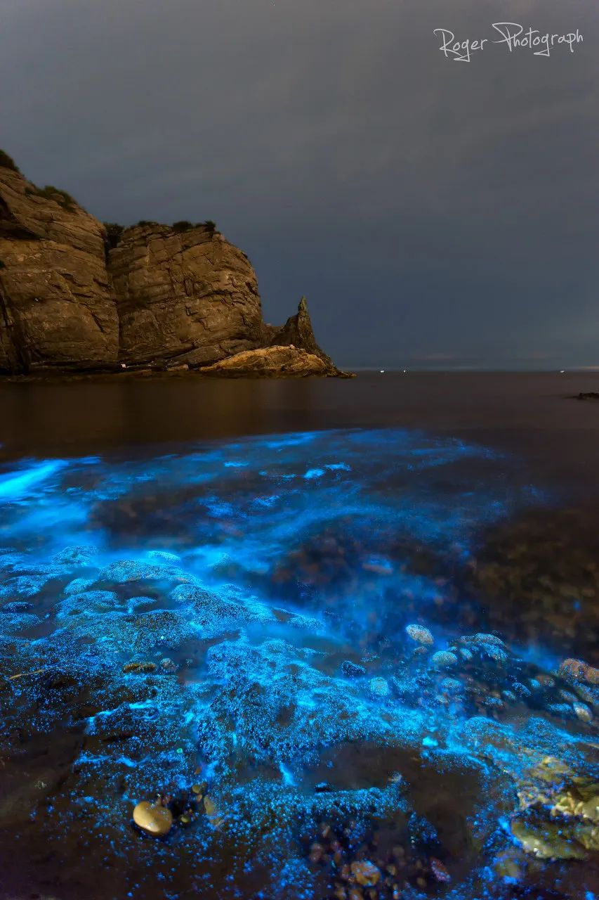海滩再现绝美荧光海宛如蓝色星河,成都荧光海滩