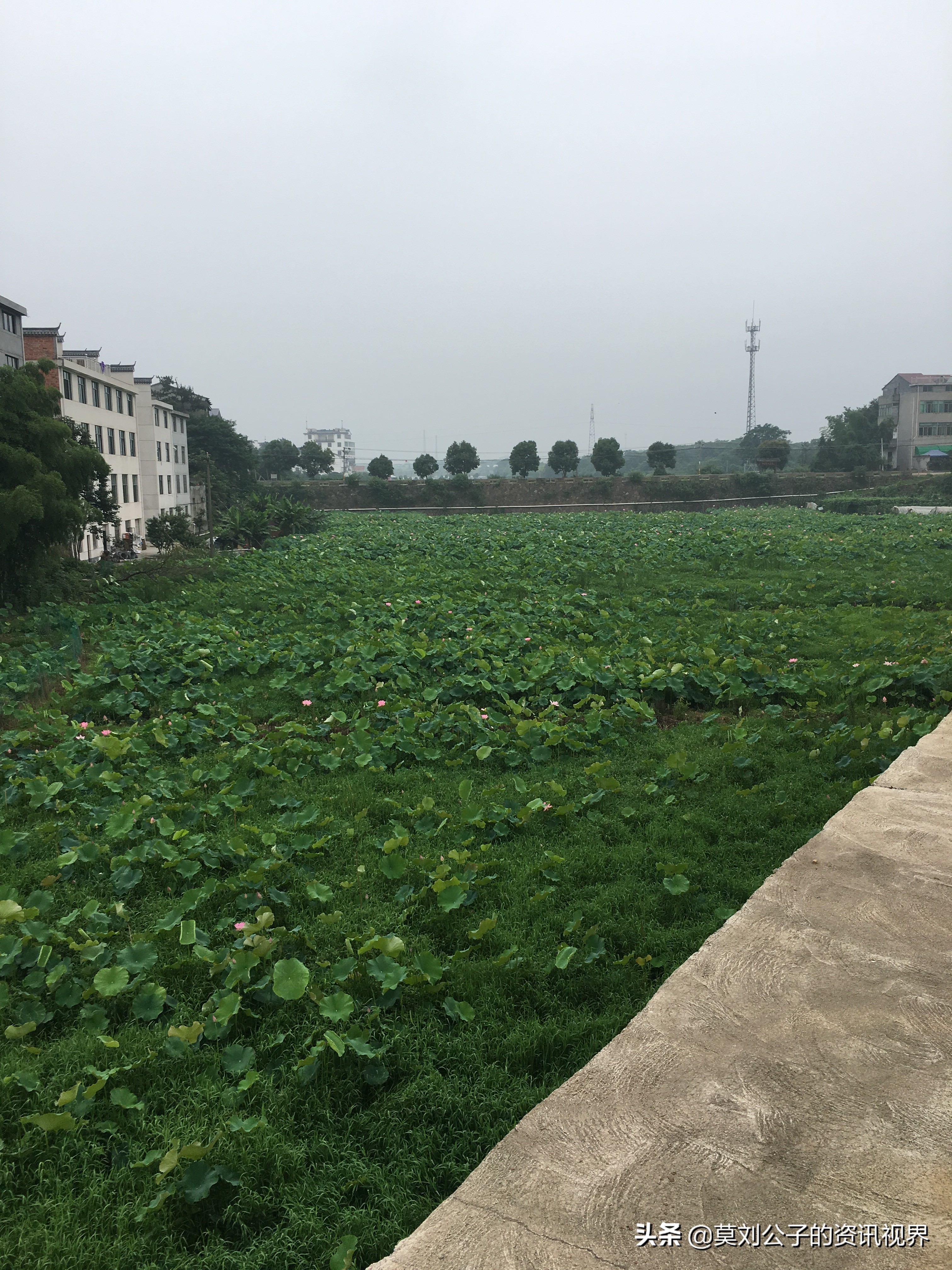 浙江工厂普工工资一般多少,浙江义乌打工的工资怎么样