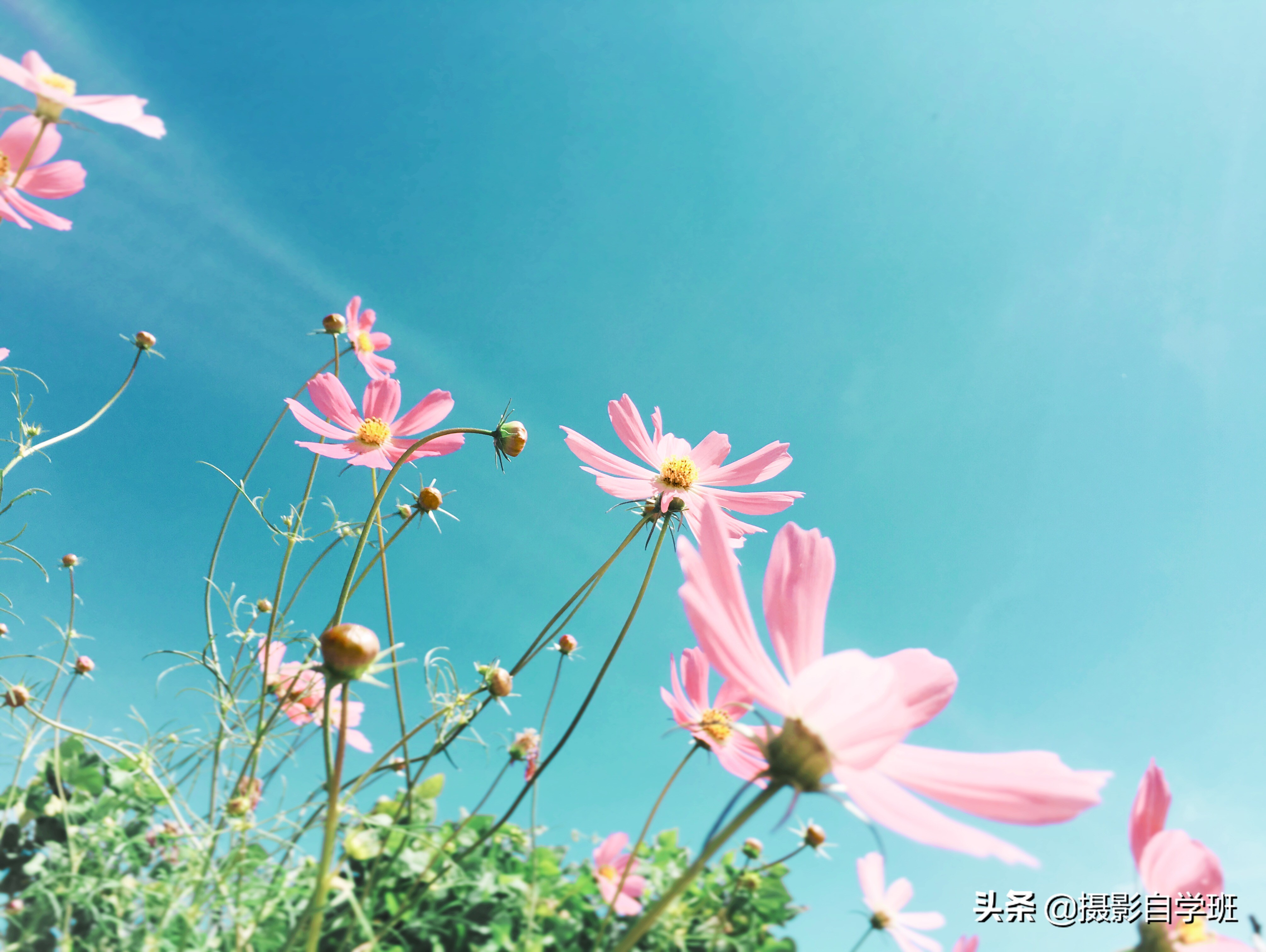 拍摄照片怎么合理构图,掌握构图拍出经典照片的技巧
