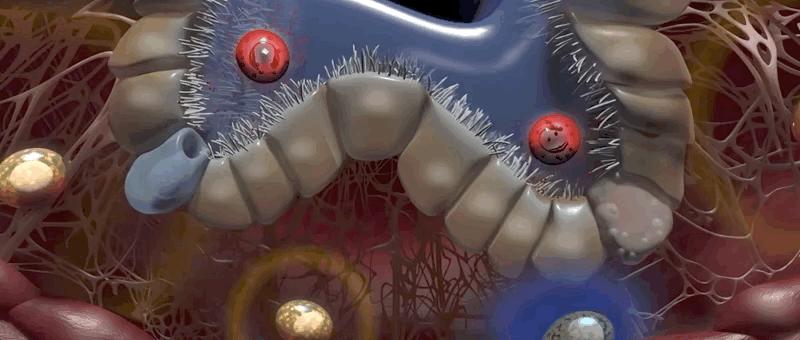 哮喘过敏症的症状,呼吸道过敏哮喘症状