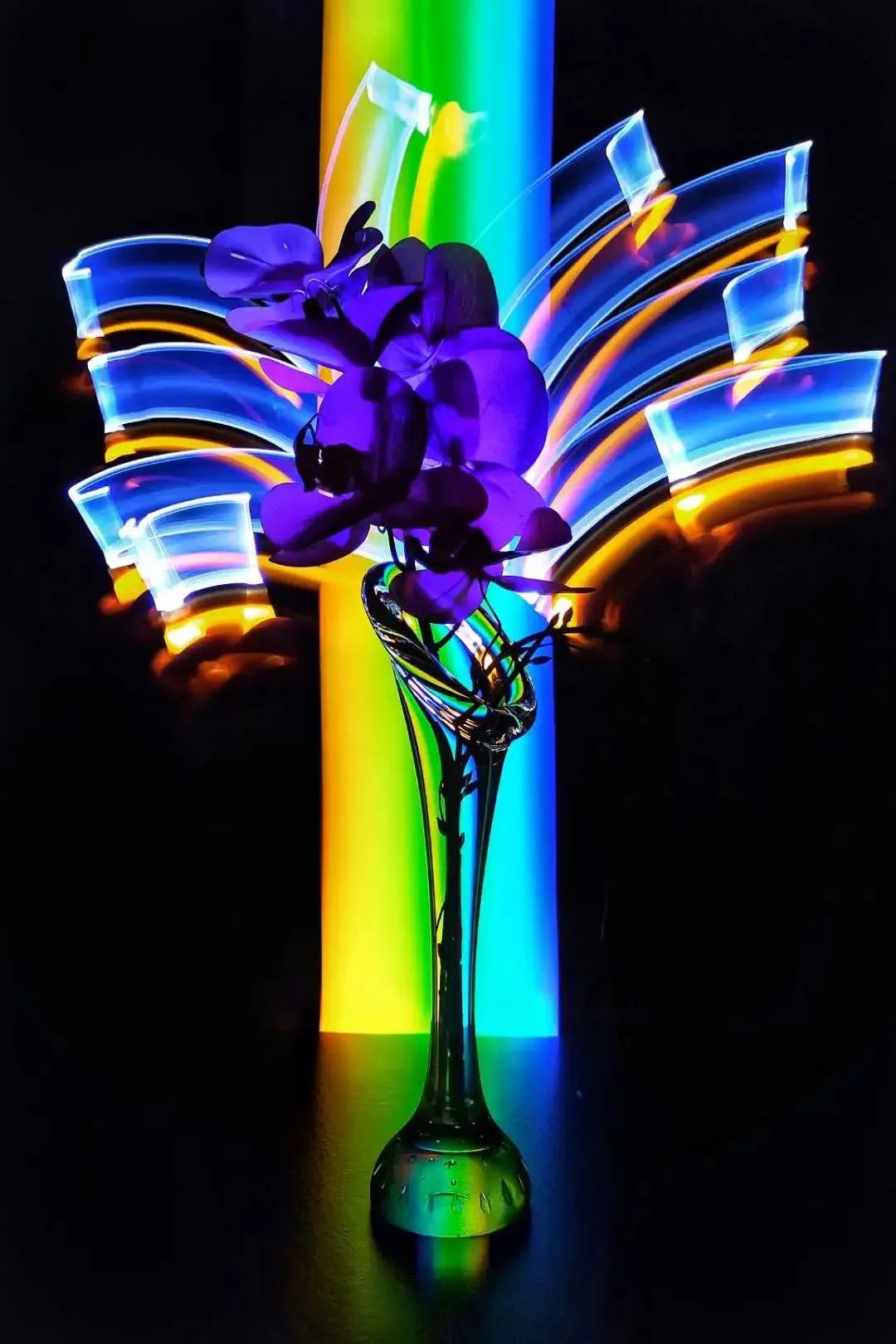 点赞他们的高光时刻,大家用手机拍出过什么好看的照片