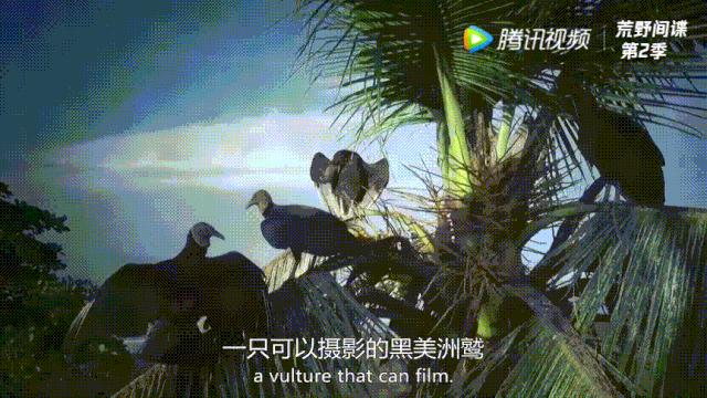 你在搞笑吗韩语,bbc搞笑视频