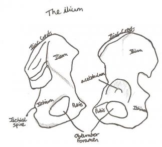 骶髂关节稳定性检查,怀孕后骶髂关节炎如何治疗