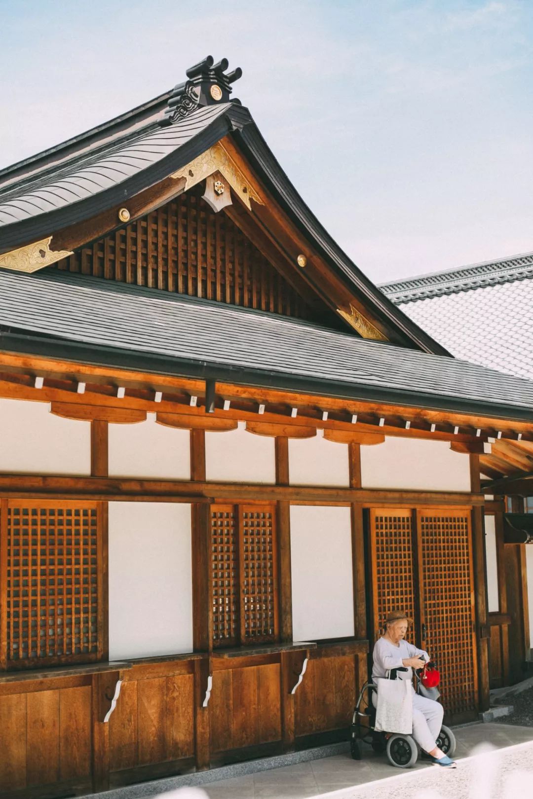 800元双人来回的机票，可以飞去国外哪里？