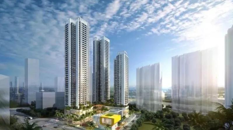 年底深圳“四十余盘”争霸，谁最香？