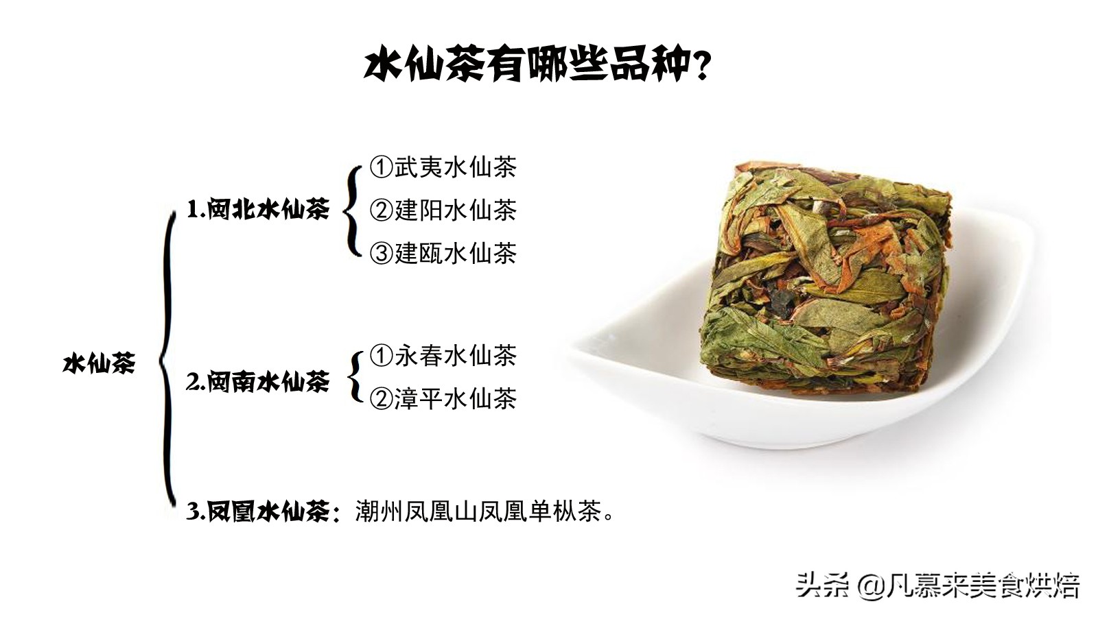 福建水仙茶是什么茶特点是什么,武夷水仙属于什么茶种类