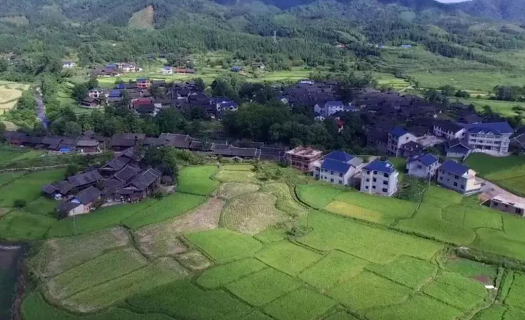 下一站联合电子,下一站同行