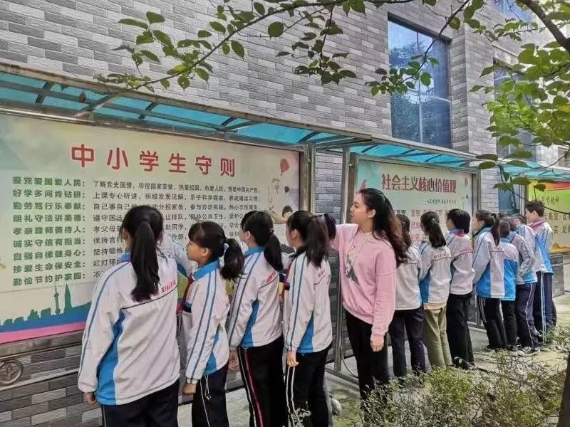 啄木鸟行动调查纠正校园错别字,啄木鸟在行动寻找错别字活动方案