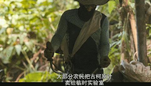 为了这部敏感剧，她差点把命丢了