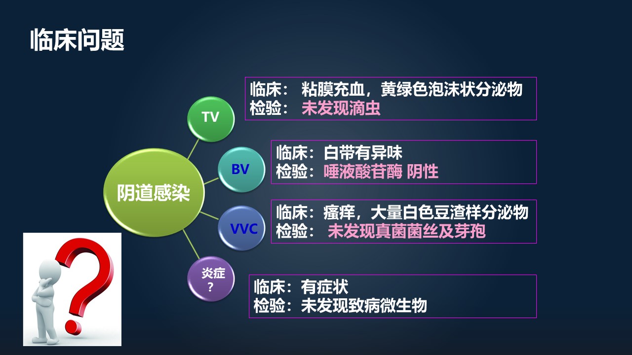 肖冰冰,肖冰冰的创作