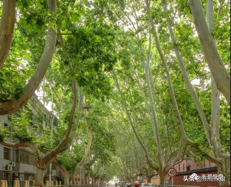 郑州北龙湖又有3大新盘入市,郑州北龙湖即将入市新楼盘