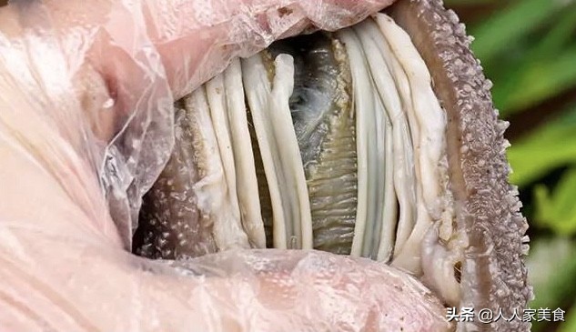 便宜海参造假全过程,买到劣质海参怎么办