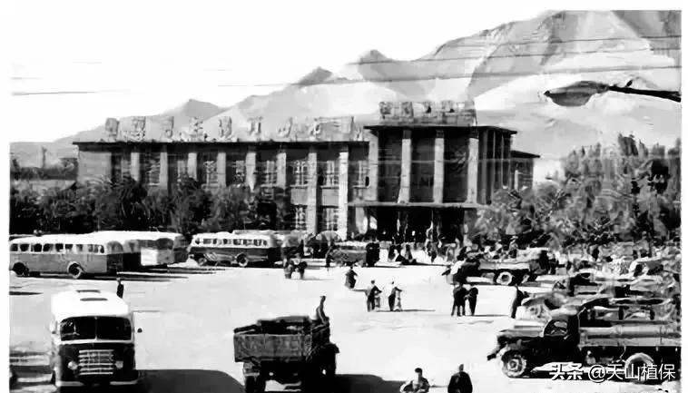 上榜啦！*疆新**鸟市和石市即将被国家命名！未来发展不可估量