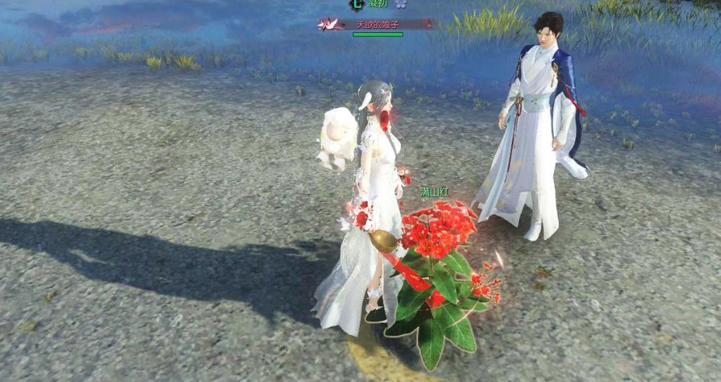 逆水寒网恋,26岁网恋逆水寒