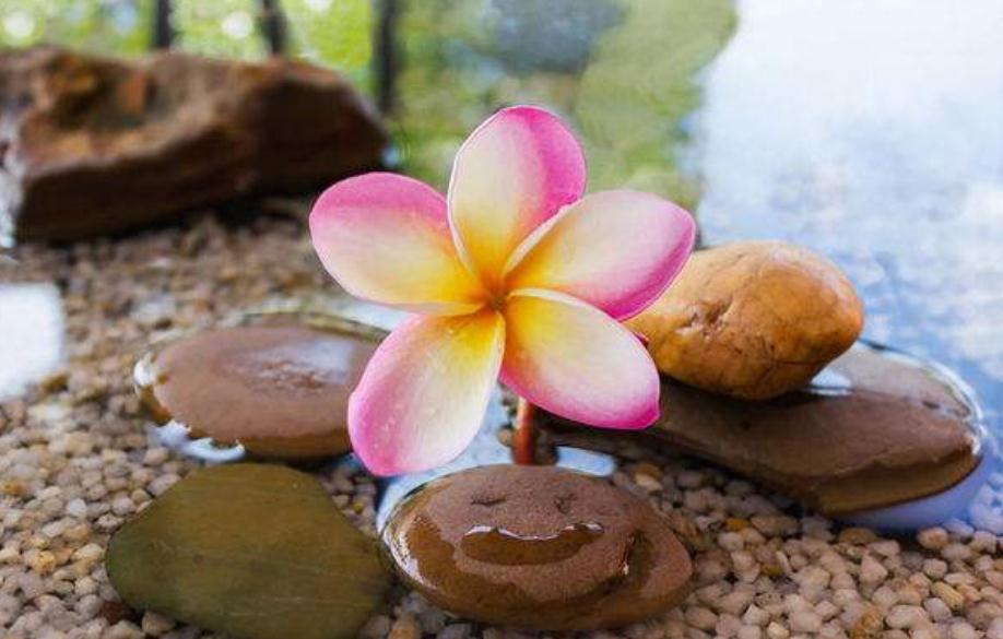 6涓緛鍏嗚鏄庢湁浜烘帓鎸や綘,鏈嬪弸鎯虫妸浣犺涪鍑哄湀瀛愮殑琛ㄧ幇