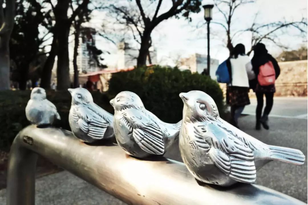 王思聪和李易峰关系有多好,王思聪和李易峰的区别