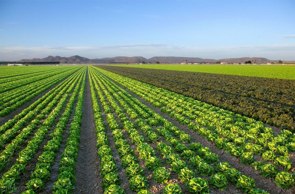 池州最新引资项目,池州市有没有好商机