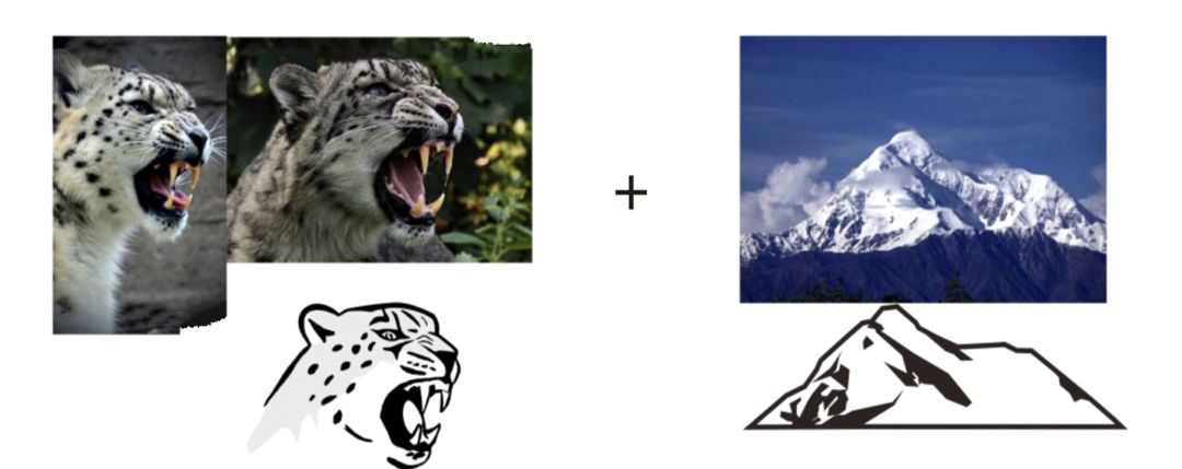 新疆天山雪豹足球俱乐部球衣,天山雪豹足球俱乐部在哪里