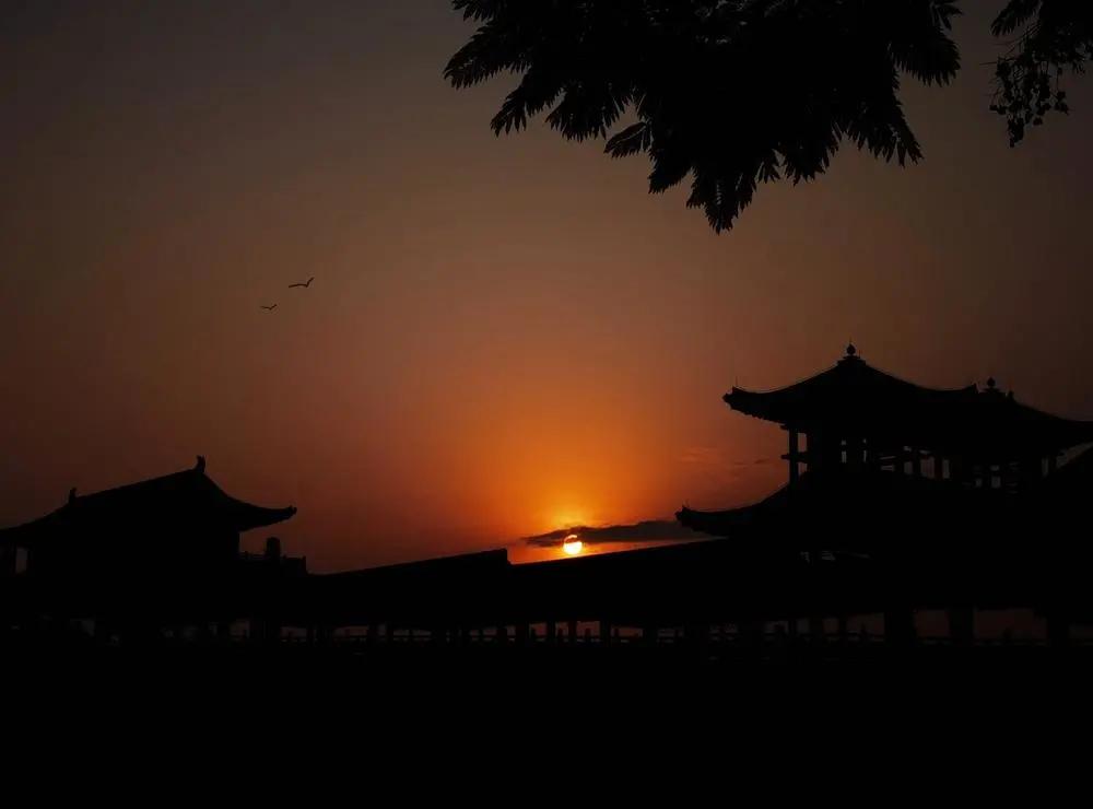 2020年摄影点评部分低分照片合集（下）（前方大量熊猫出没）