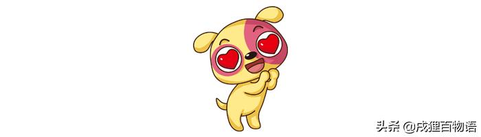 家里的狗狗发情了,该怎么照顾它?