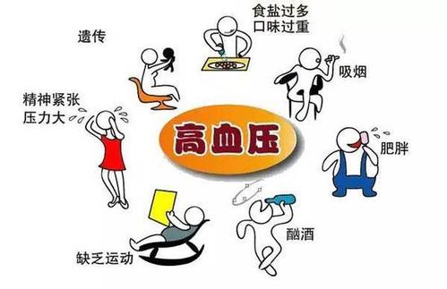 刚得了高血压用什么药,刚得了高血压怎么恢复之前状态