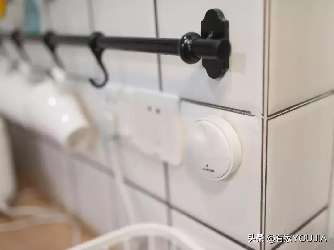 洗碗机和垃圾处理器有必要吗,垃圾处理器需要买品牌吗