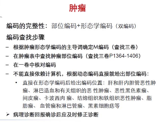 icd编码规则详解,一文读懂intp