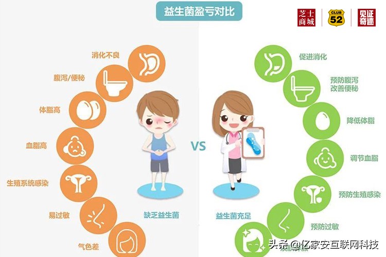 什么东西能改善肠道菌群,带您认识和保护肠道菌群