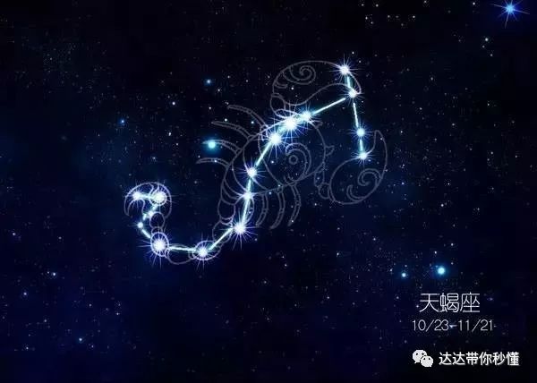 占卜星座博主,星座占卜的博主