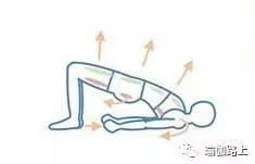 鐟滀冀妗ュ紡鍚庡集,鐟滀冀浣撳紡妗ュ紡鍚庡集