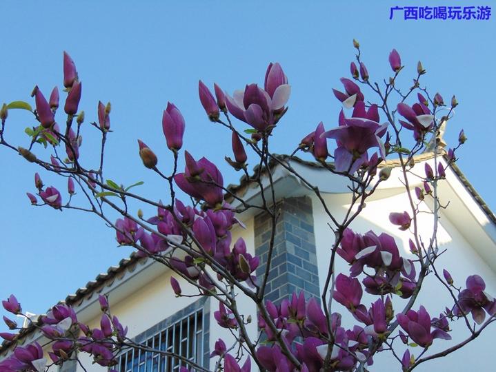 建水蒙自河口游,蒙自市尼苏小镇旅游攻略