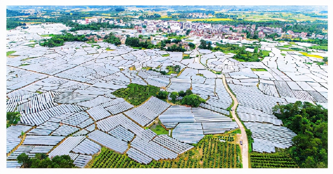 争当高质量排头兵,争当全市高质量发展引领者