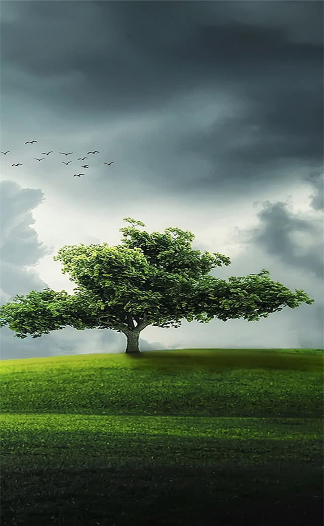 缓解眼睛疲劳动态图壁纸,好看的手机壁纸护眼高清图文