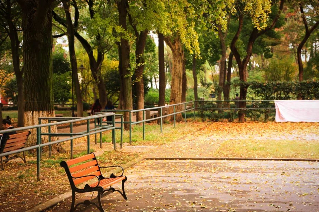 一入秋苏州成姑苏,秋色一入秋苏州就成了姑苏