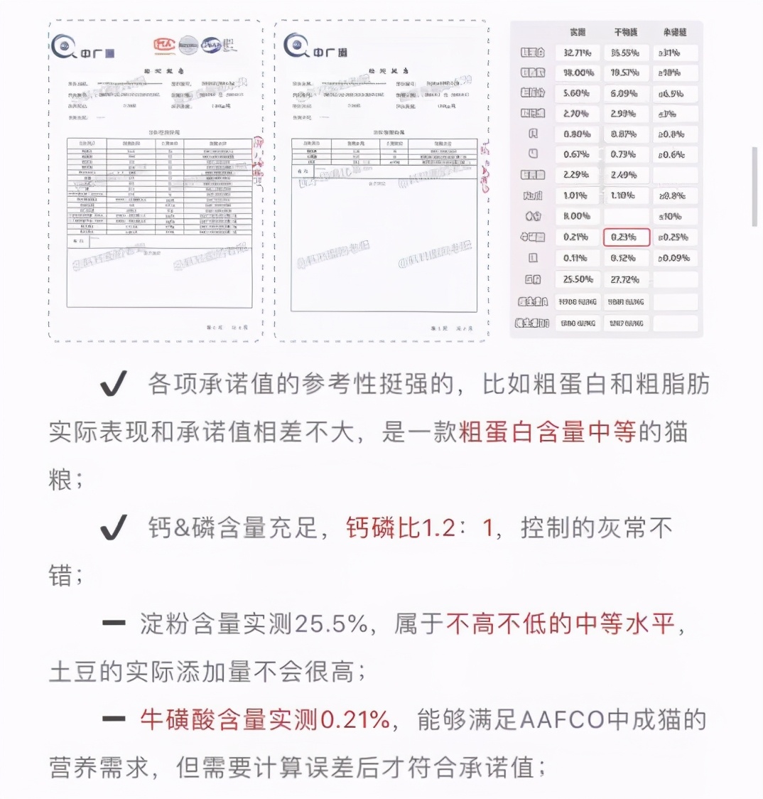 以为单身就可以自由,开始以为养猫是为了不孤单