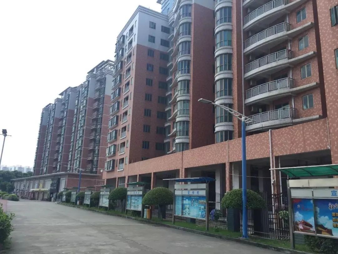 广东科技学院有本科和专科吗,广东科技学院机器人工程高职高考