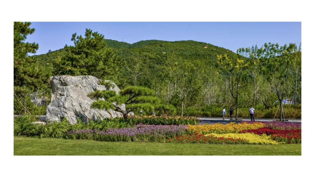 中央美院历年高分卷,中央美院教学成果展