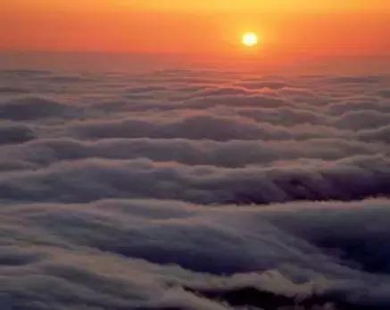 江西抚州最近的消息,抚州市最新消息今天